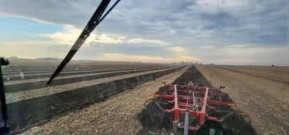 2015 Case-IH 875 14' Disk Ripper