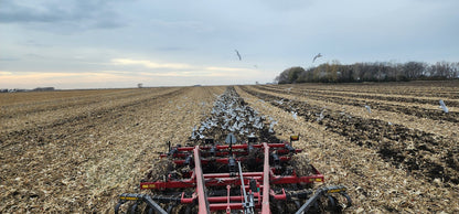 2015 Case-IH 875 14' Disk Ripper