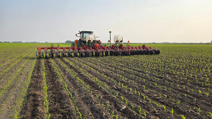 2012 Wil-Rich PT-7722 24R22 Rowcrop Cultivator