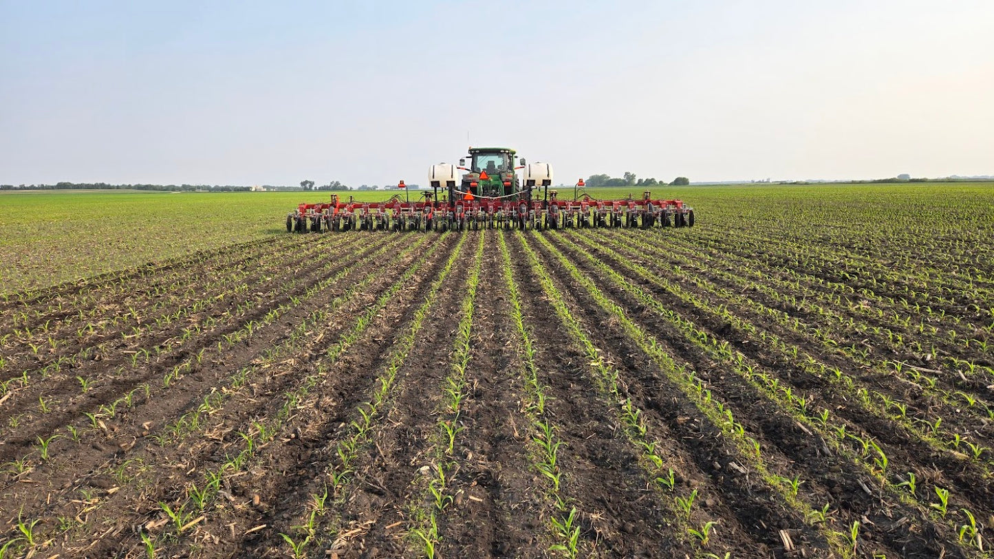 2012 Wil-Rich PT-7722 24R22 Rowcrop Cultivator